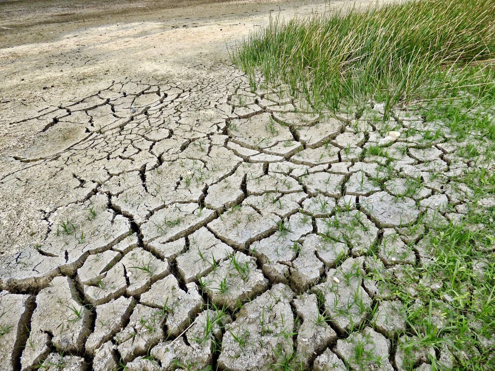 dried land